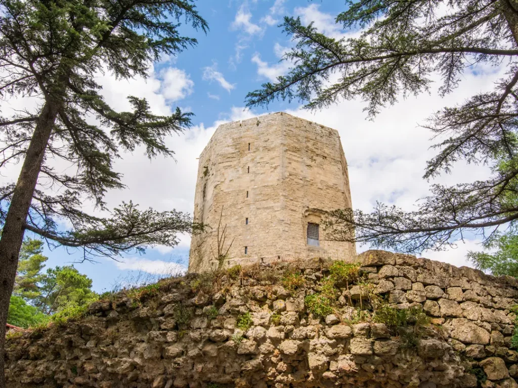 torre-di-federico-foto-mod Torre di federico foto mod 1024x768